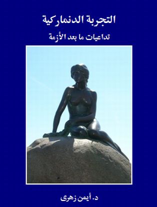 التجربة الدانماركية - تداعيات ما بعد الأزمة التجربة الدانماركية - تداعيات ما بعد الأزمة